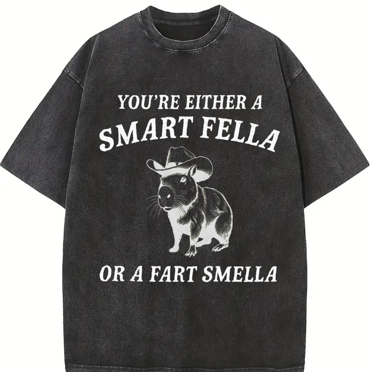 Are You a Smart Fella Vintage Washed T-Shirt in Black