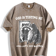 God Is Testing Me Possum Vintage Washed T-Shirt in Brown