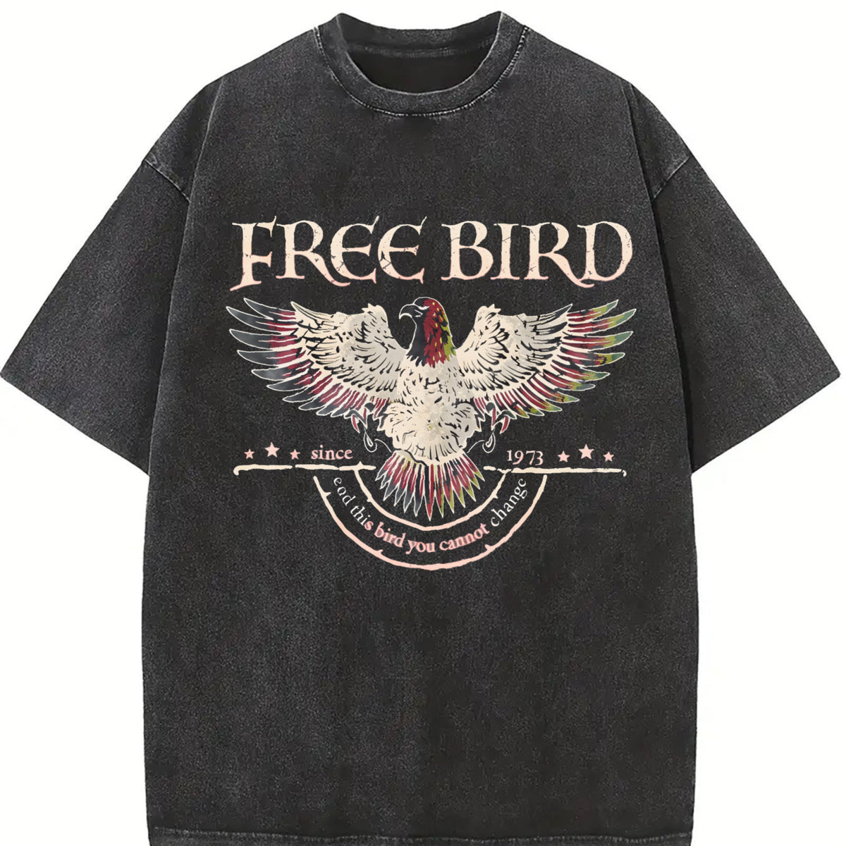 Free Bird Old School Band vintage washed oversized T-shirt in Black