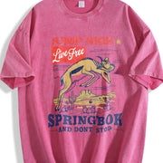 Springbok Western 90s Vintage Washed T-Shirt in Red