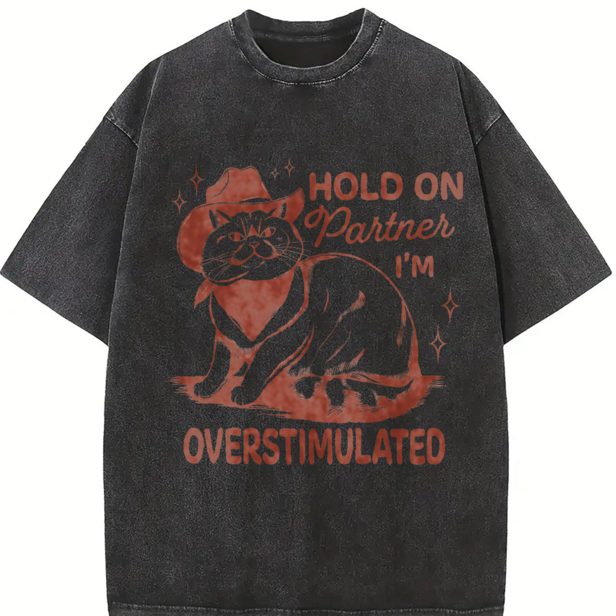 Retro Sarcastic Cat 90s Vintage Washed T-Shirt in Black