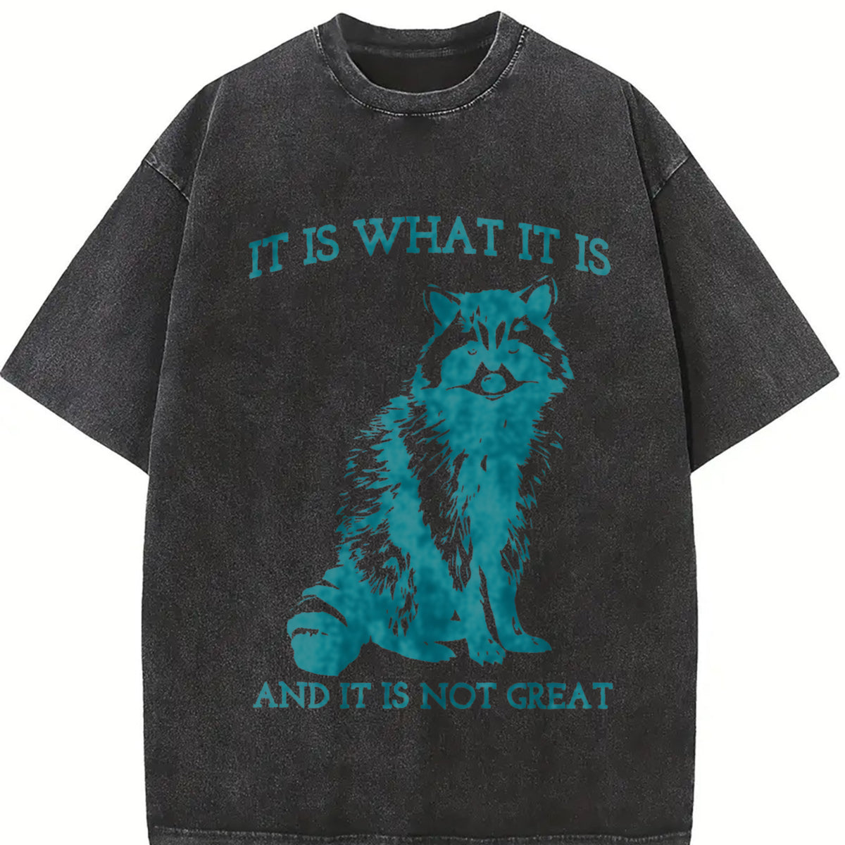 It Is What It Is and It Is Not Great Vintage Washed T-Shirt in Black