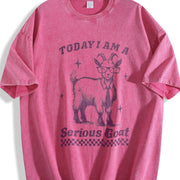 Goat Retro 90s Goat Today I'm Serious Vintage Washed T-Shirt in Red