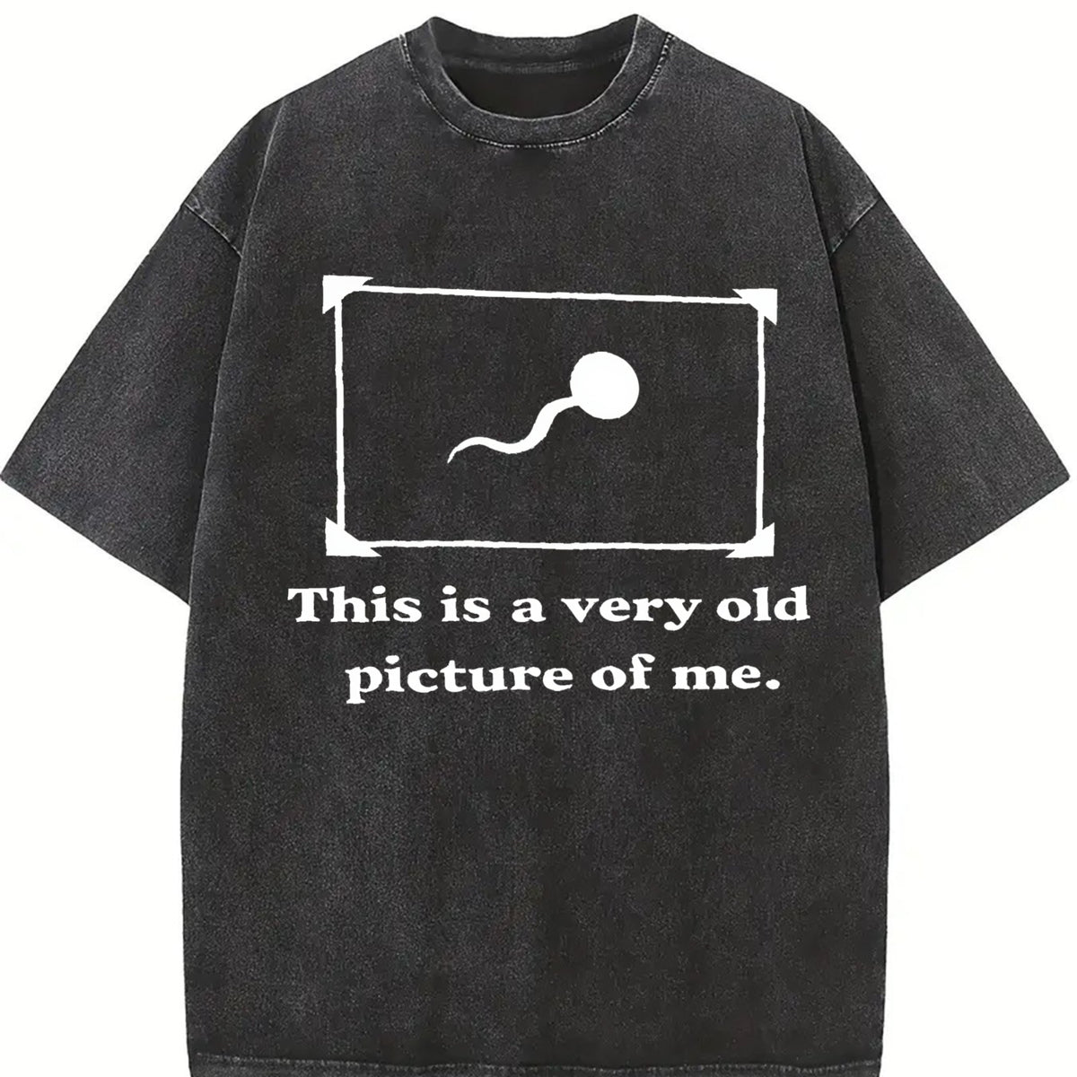 Sarcastic Humor Retro Joke Vintage Washed T-Shirt in Black