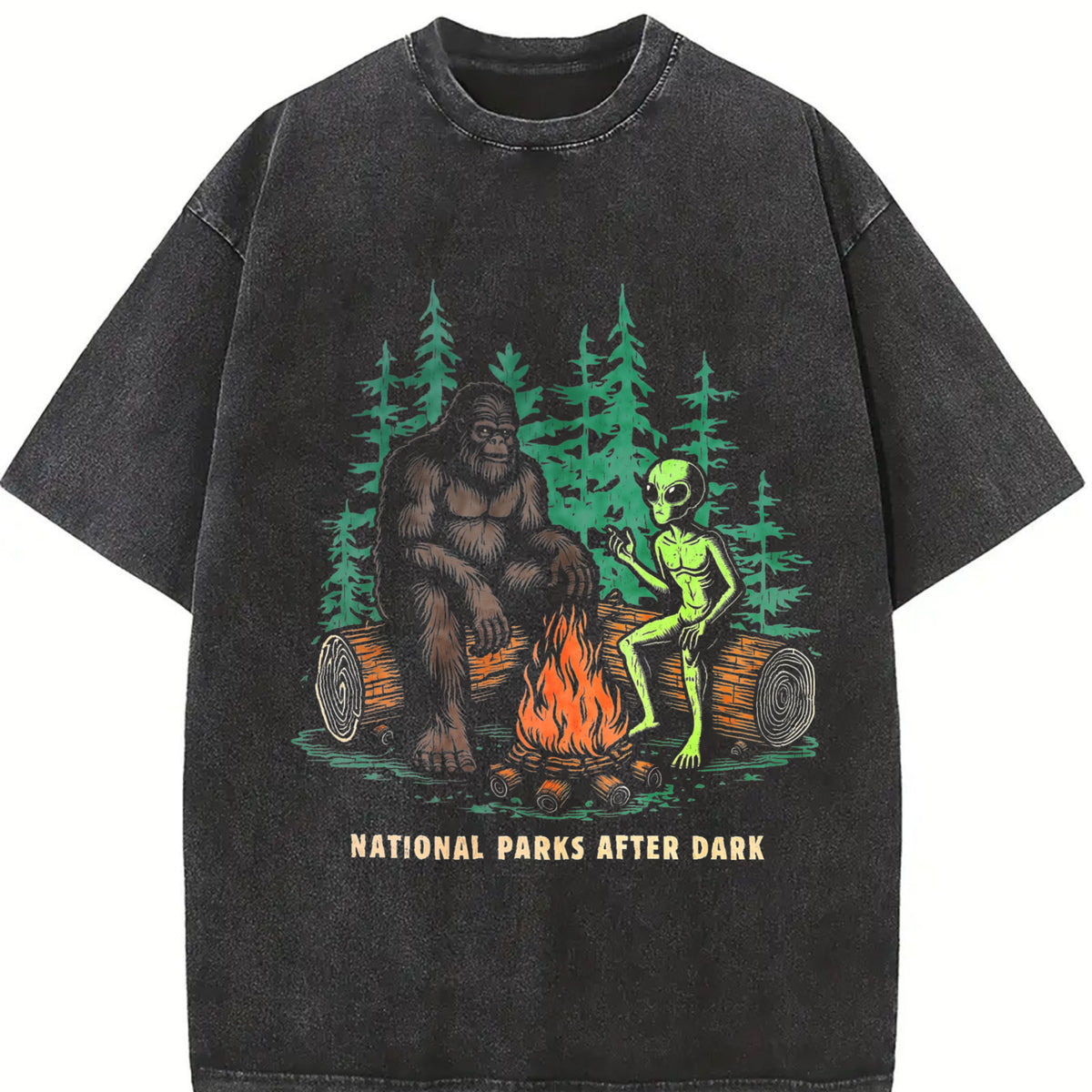 National Parks After Dark Sarcastic Bigfoot Alien Novelty Vintage Washed T-Shirt in Black