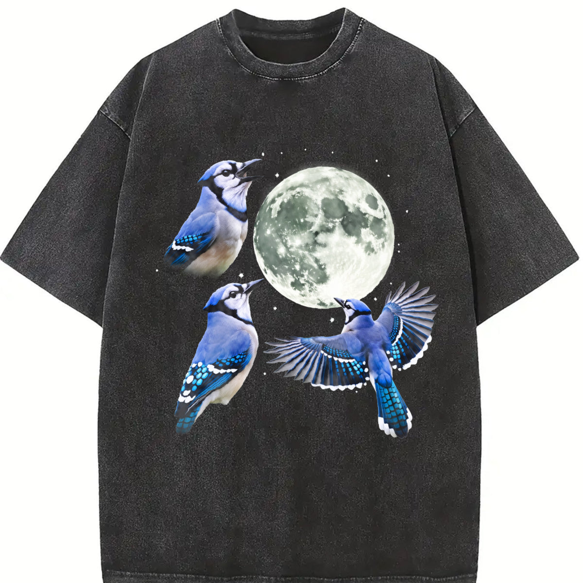 Blue Jay Moon 90s Retro Celestial Bird Watcher Vintage Washed T-Shirt in Black