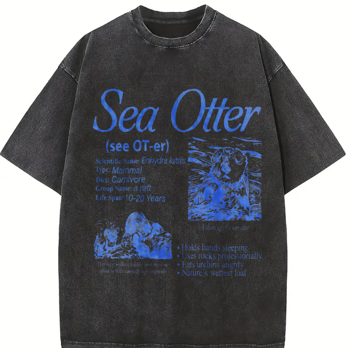 Sea Otter 90s Retro Animal Facts Info Vintage Washed T-Shirt in Black