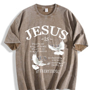 Retro Appearance Bold Vintage Washed T-Shirt in Brown