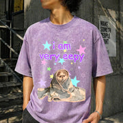 Eepy Cat Meme Vintage Washed T-Shirt in Purple