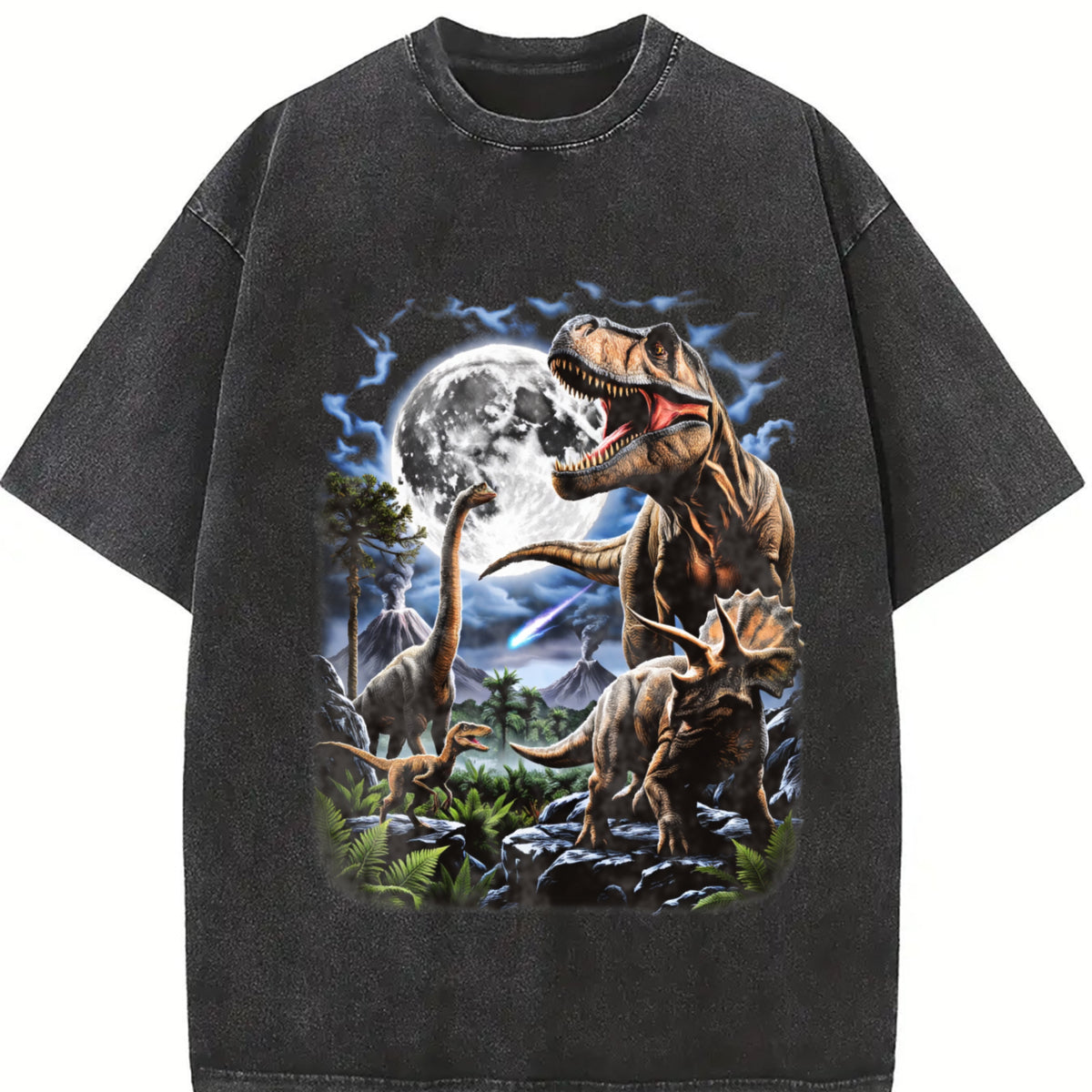 Moonlight Dinosaurs Vintage Washed T-Shirt in Black