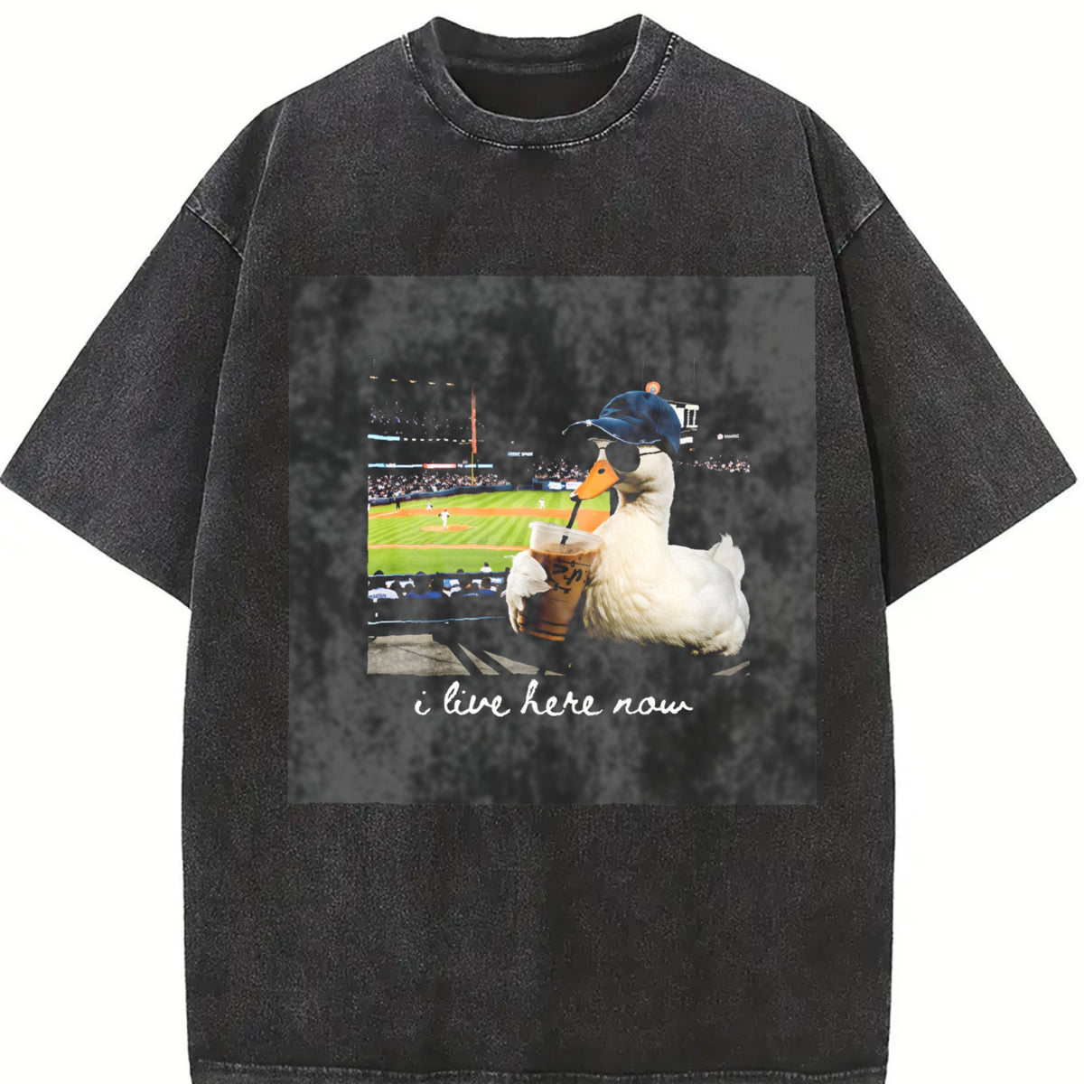 Goose at a Baseball Game I Live Here Now Vintage Washed T-Shirt in Black