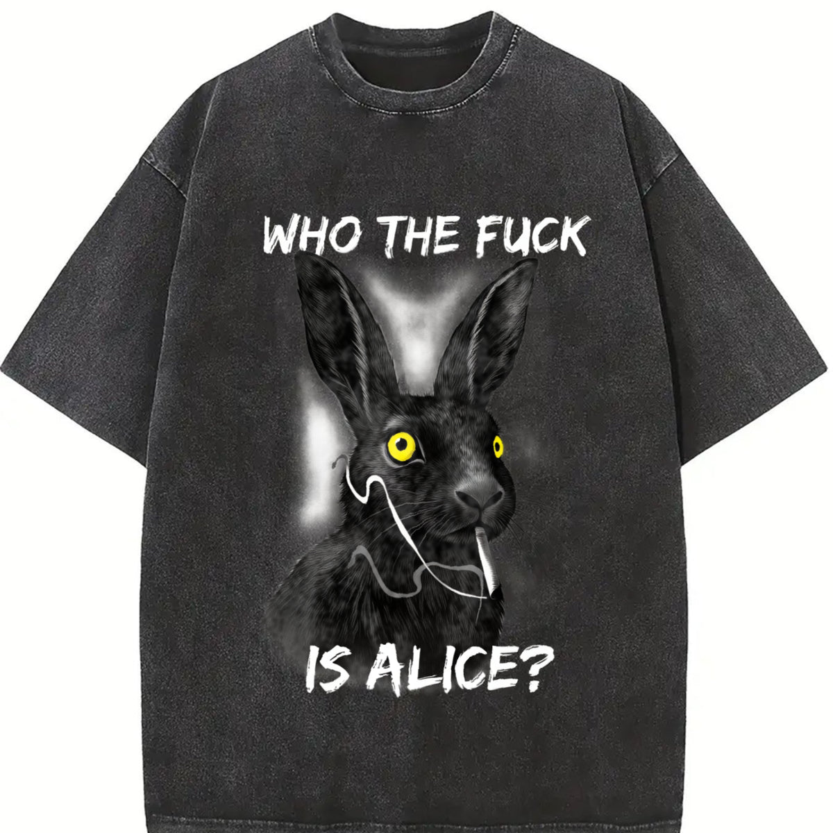 Who the F*ck Is Alice? Vintage Washed T-Shirt in Black