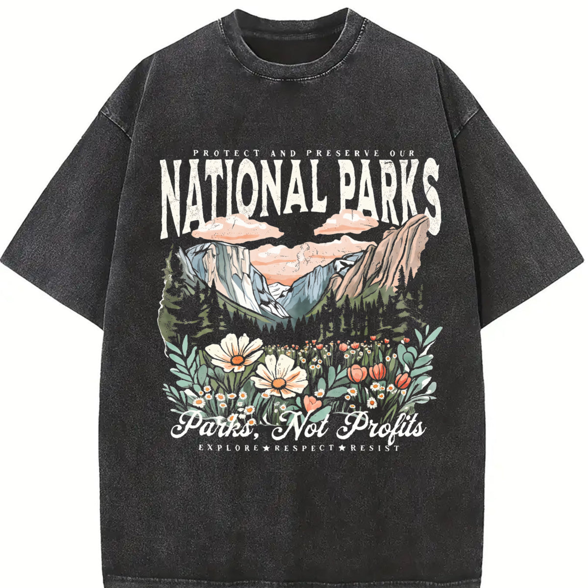 National Parks Not Profits Vintage Washed T-Shirt in Black