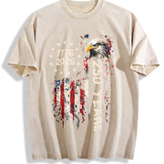 Retro Usa 250 250th Usa Flag Vintage Washed T-Shirt in Beige