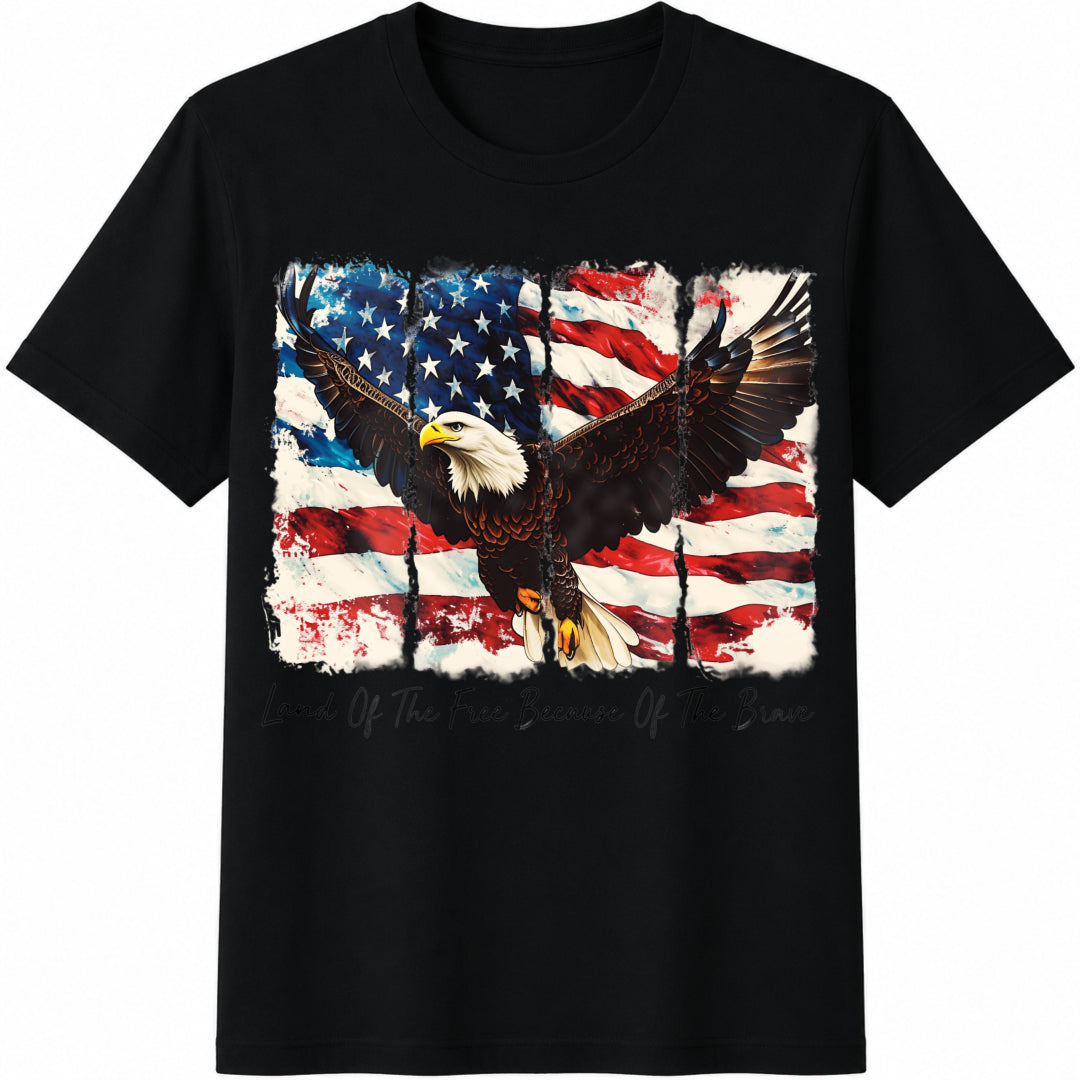 America Patriotic Cotton T-Shirt in Black
