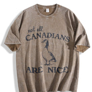 Canadian Goose for Spring Vintage Washed T-Shirt in Brown