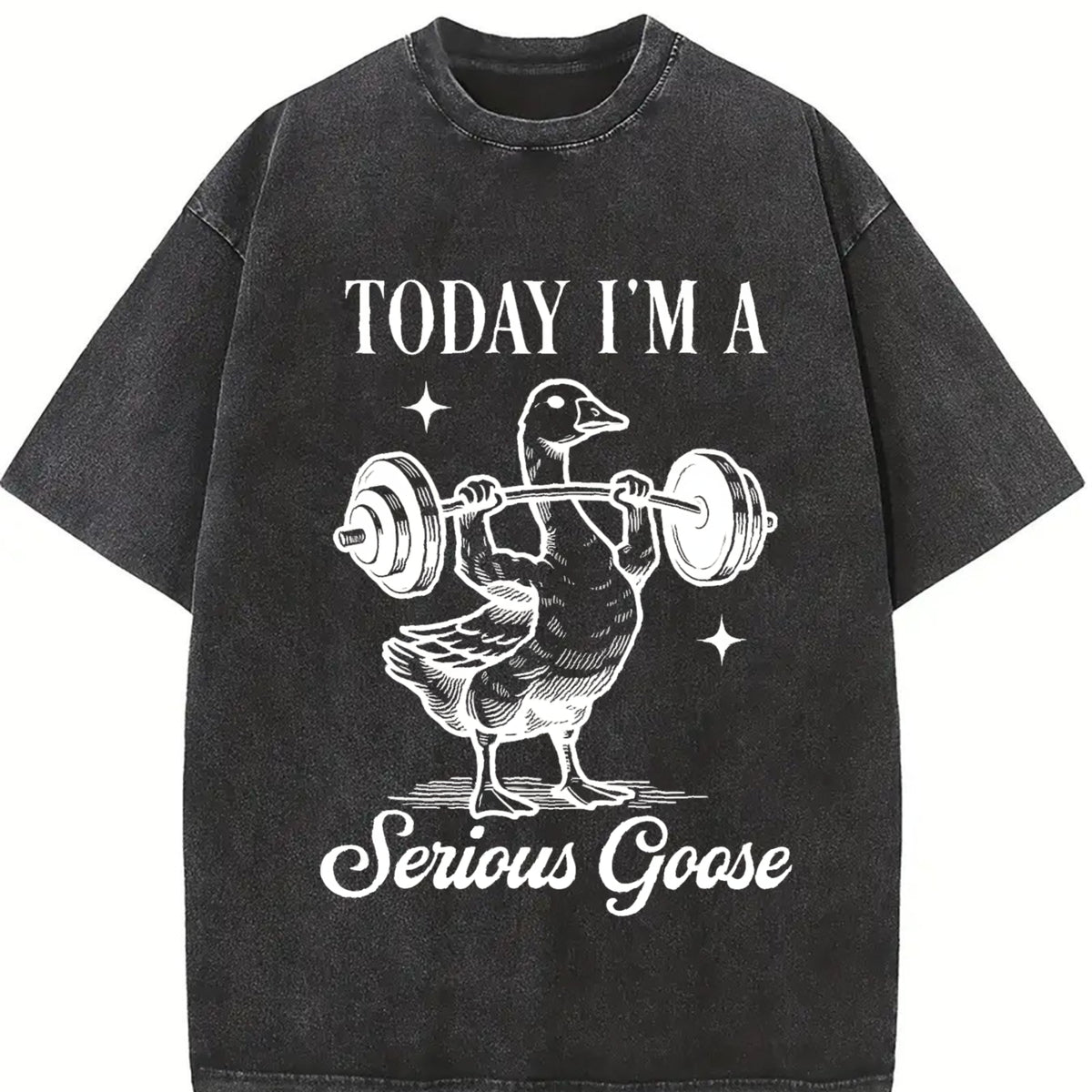 Today I Am Serious Goose Vintage Washed T-Shirt in Black
