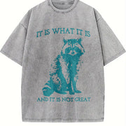 It Is What It Is and It Is Not Great Vintage Washed T-Shirt in Gray