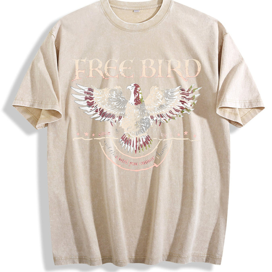 Free Bird Old School Band vintage washed oversized T-shirt in Beige