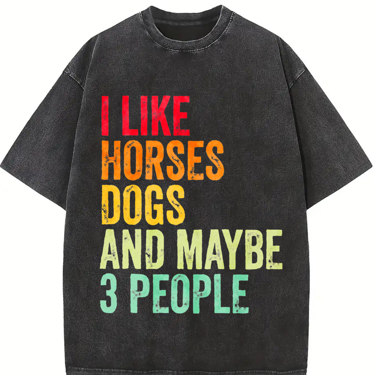 I Like Horses Dogs and Maybe 3 People Vintage Washed T-Shirt in Black