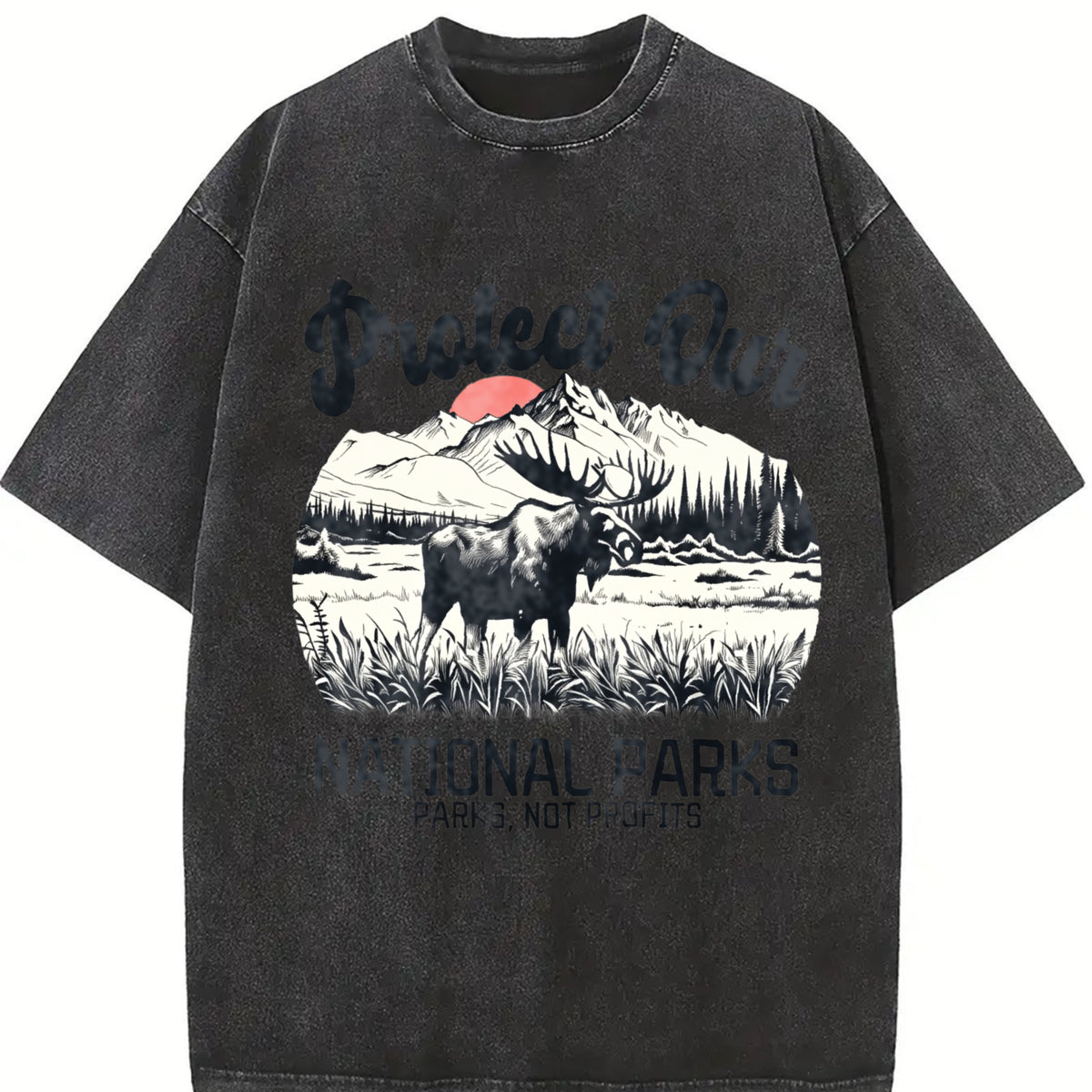 Retro Protect Our National Parks Vintage Washed T-Shirt in Black