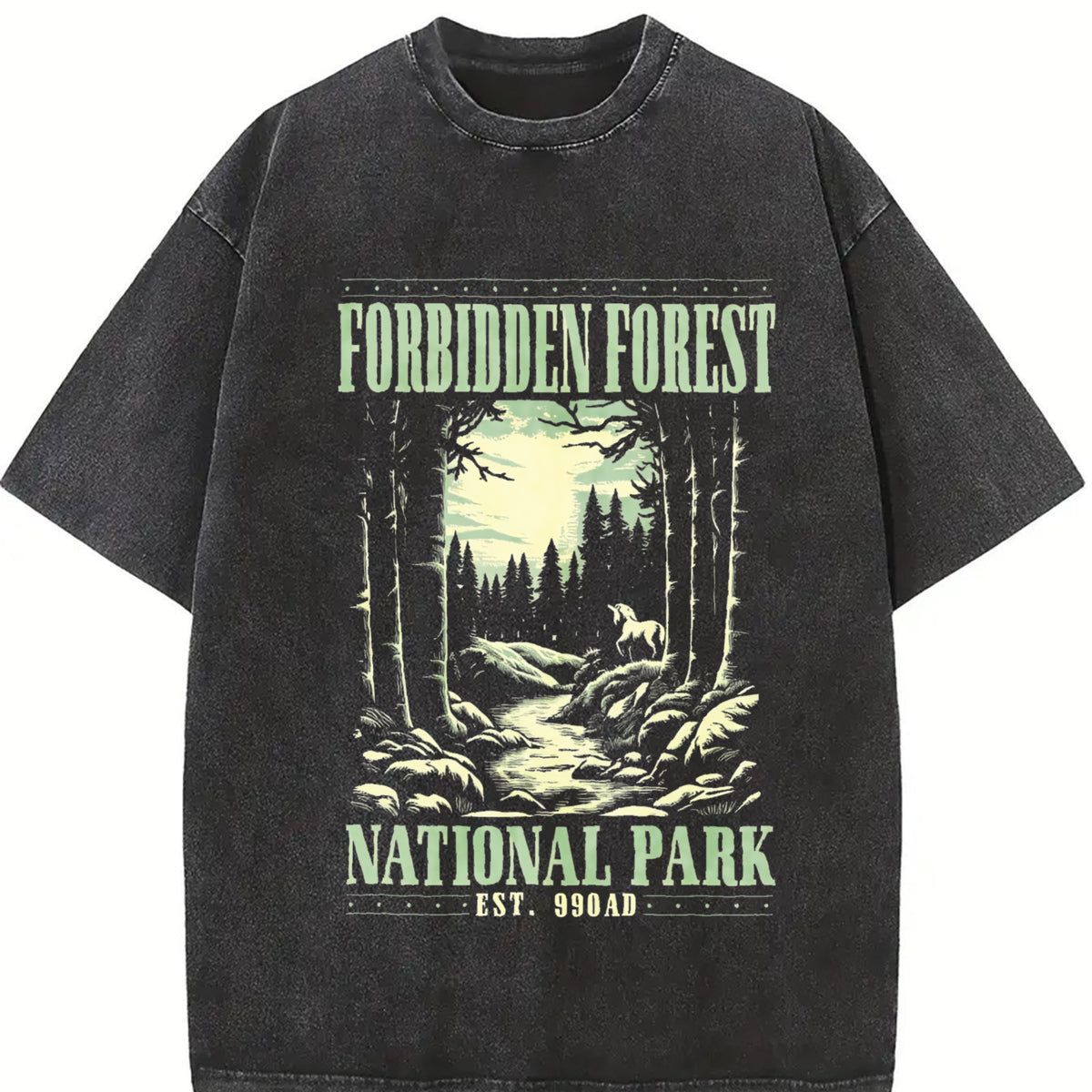 Forbidden Forest Bookish Vintage Washed T-Shirt in Black