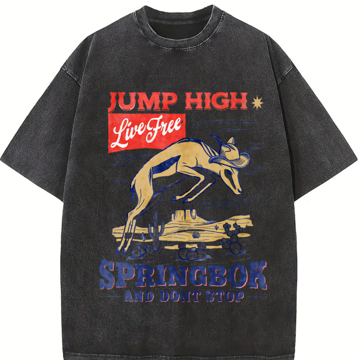 Springbok Western 90s Vintage Washed T-Shirt in Black