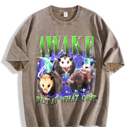 Awake but at What Cost Vintage Washed T-Shirt in Brown