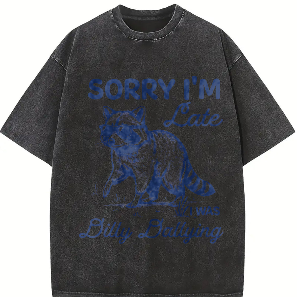 Sorry I'm Late Dilly Dallying Feral Raccoon Lover vintage washed oversized T-shirt in Black