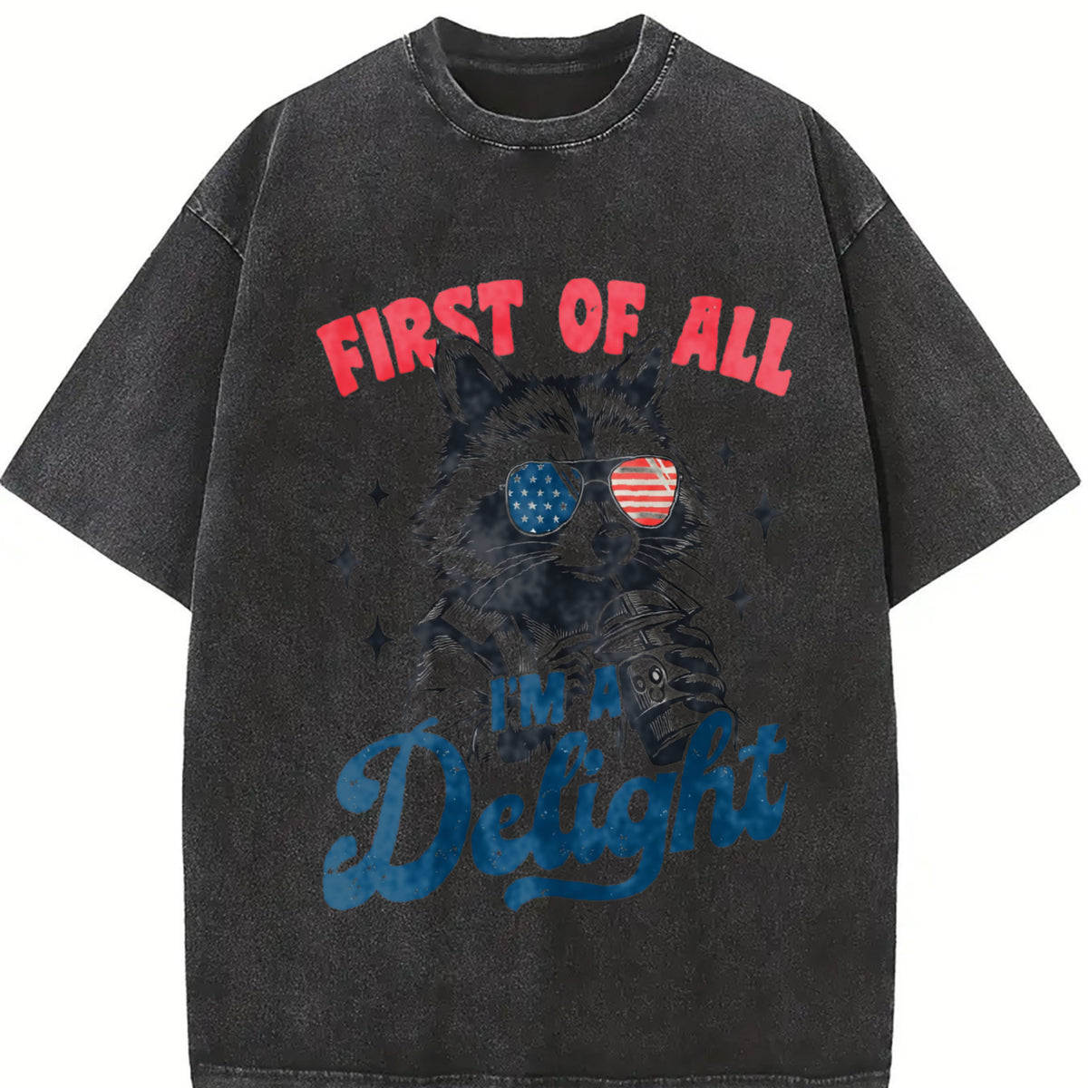 Retro First of All I'm a Delight Raccoon 4th of July 90s Vintage Washed T-Shirt in Black