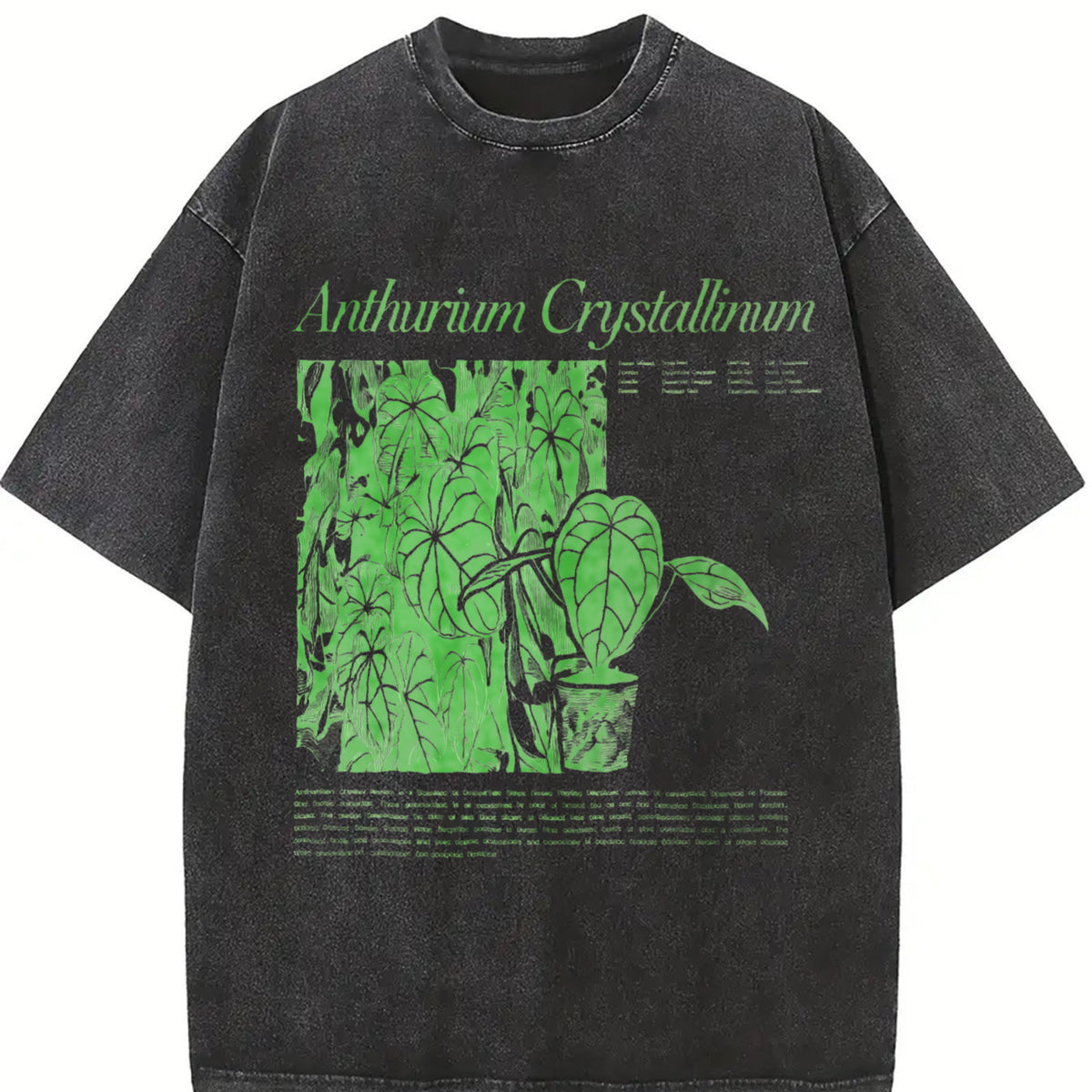 Anthurium Crystallinum Vintage Washed T-Shirt in Black