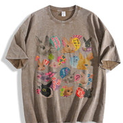 Y2K Bunny 90s Harajuku Vintage Washed T-Shirt in Brown