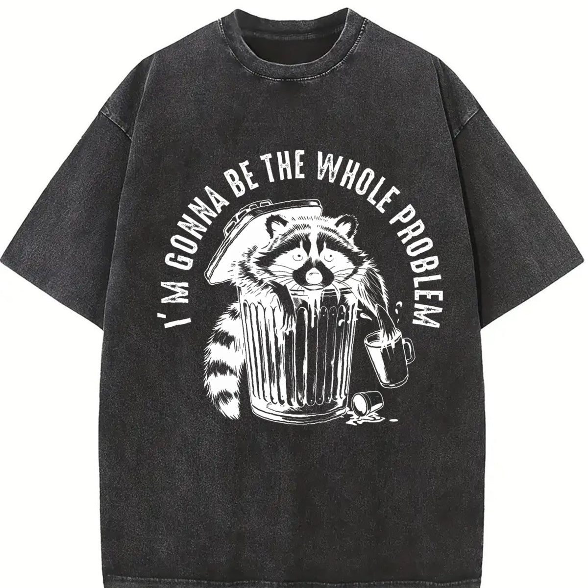 I’m Gonna Be the Whole Problem Vintage Washed T-Shirt in Black